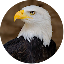 Infini- Ty profile picture