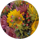 Dawn Rosenblum profile picture