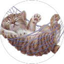 Lynda Ridge profile picture