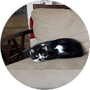 Dan Morgan profile picture